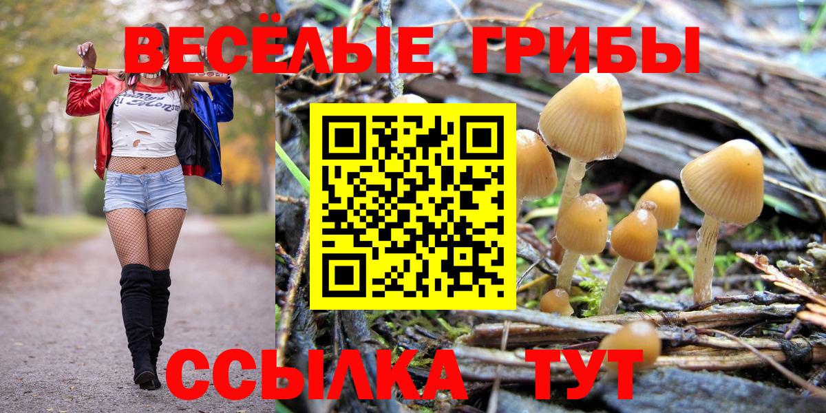 Алатырь  Псилоцибиновые грибы GOLDEN TEACHER  Вход с VPN 